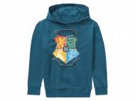 Sweat à capuche garçon Harry Potter , prezzo 8.99 EUR