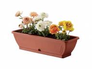 Jardinière ou pot(s)