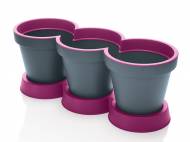 Triple pot