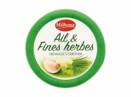 Fromage à tartiner ail & fines herbes