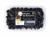 Moules de Bouchot