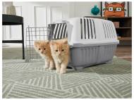 Bac à litière pour chat ou caisse de transport