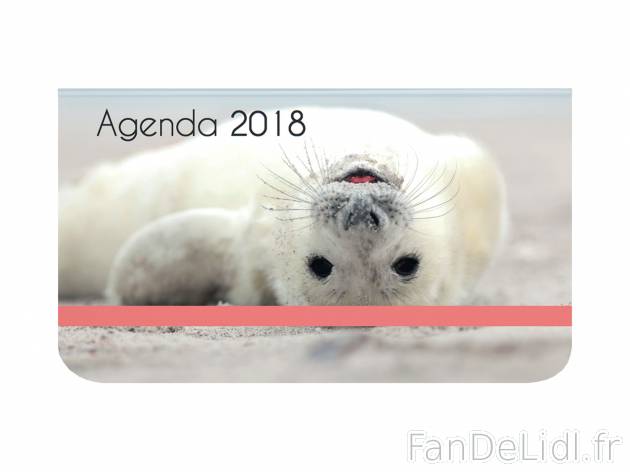 Agenda 2018 , prezzo 1.99 € per L&apos;unité au choix 
- Env. 10 x 15,5 ...