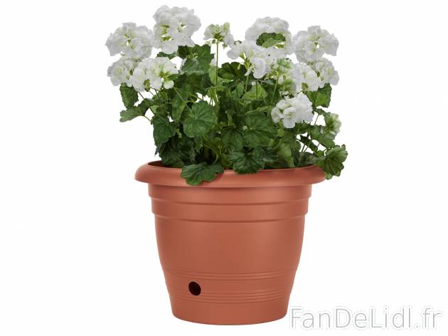 Pot de fleurs , prezzo 4.99 € 
- Env. 40 x 32 cm (Ø x h)
- Réserve d’eau
- ...