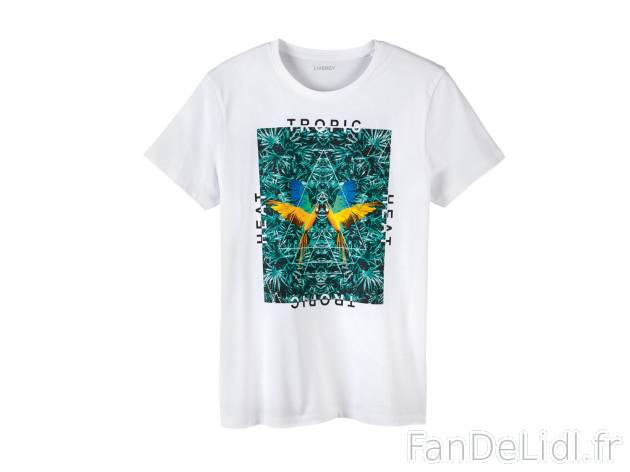 T-shirt homme , prezzo 3.99 € 
- Ex. 90 % coton et 10 % viscose
- 3 coloris ...