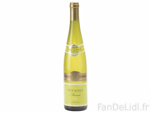 Muscat Vieilles Vignes 2013 AOC , prezzo 3,99 € per 75 cl, 1 L = 5,32 € EUR. ...