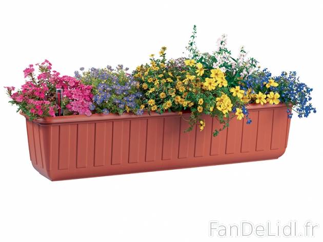 Jardinière avec niveau d&#039;eau , prezzo 0,00 € per L&#039;unité au ...