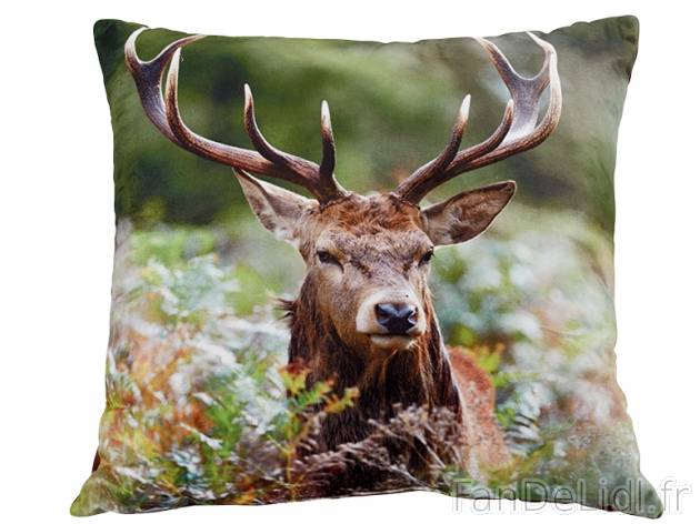 Coussin décoratif , prezzo 5,99 &#8364; per L&#039;unité au choix 
- Ex. ...