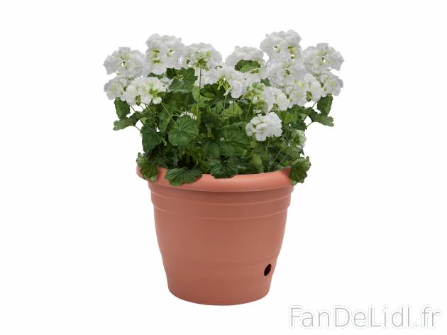 Pot de fleurs , le prix 4.99 &#8364; 
- Env. 40 x 32 cm (&Oslash; x h)
- ...