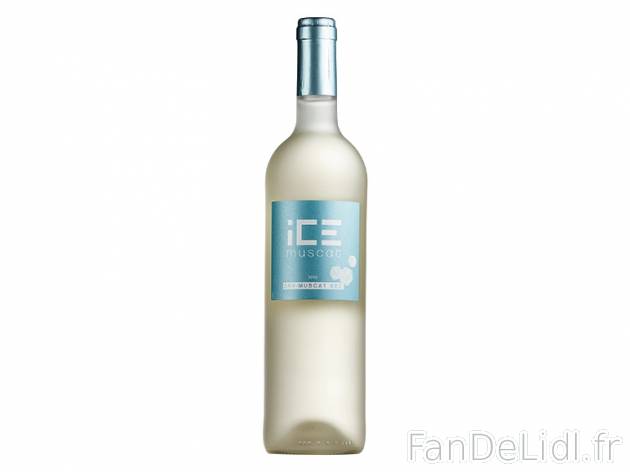 Côtes Catalanes Ice Muscat sec 2015 IGP , prezzo 3.75 &#8364; 
- Temp&eacute;rature ...