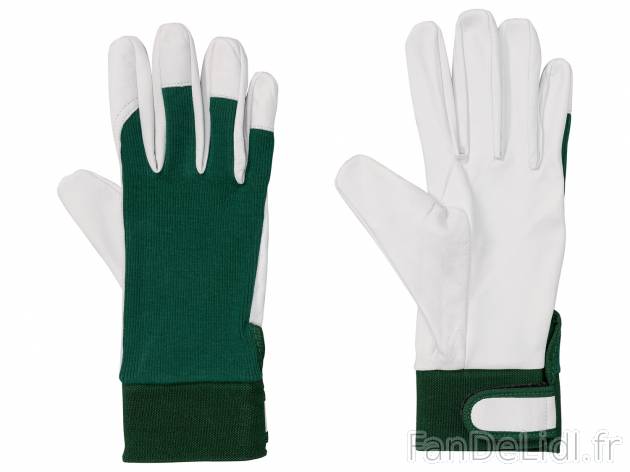 Gants de jardin en cuir , le prix 5.99 € 
- Ex. Paume, pouce et bout des doigts ...