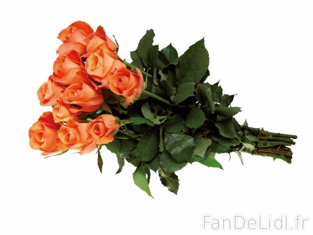 Bouquet de petites roses , le prix 1.99 &#8364; 
- Hauteur : 40 cm
- 11 tiges
- ...