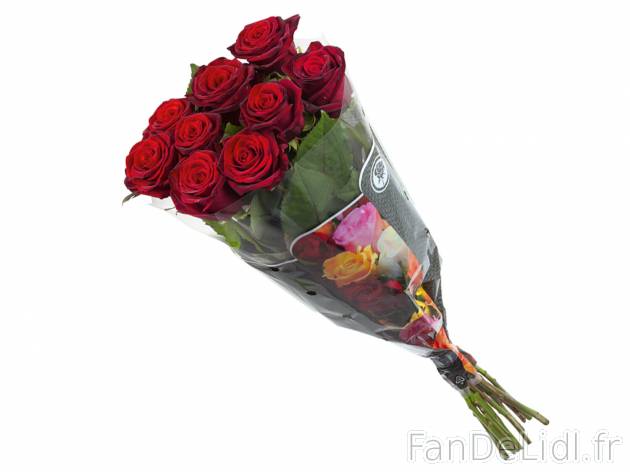 Bouquet de grandes roses , le prix 3.99 &#8364; 
- Hauteur : 60 cm
- 10 tiges
- ...