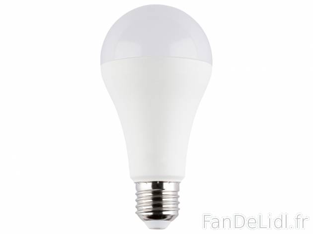 Ampoules LED , le prix 4.99 € 
- Blanc chaud ou blanc froid selon modèle
- ...