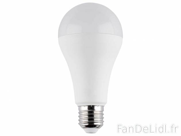 Ampoule LED à intensité variable , le prix 4.99 € 
- E27
- 16,9 W - 100 W
- ...