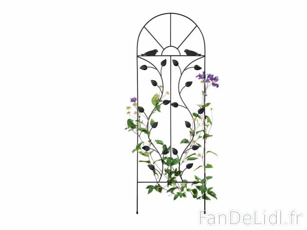 Treillage pour plantes grimpantes , le prix 6.99 &#8364; 
- Env. 40 x 117 cm ...