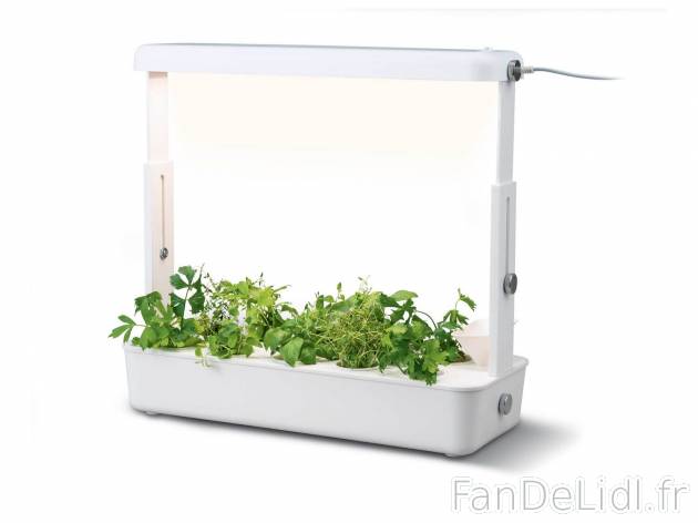 Système de plantation avec éclairage LED , le prix 39.99 &#8364; 
- Set de ...