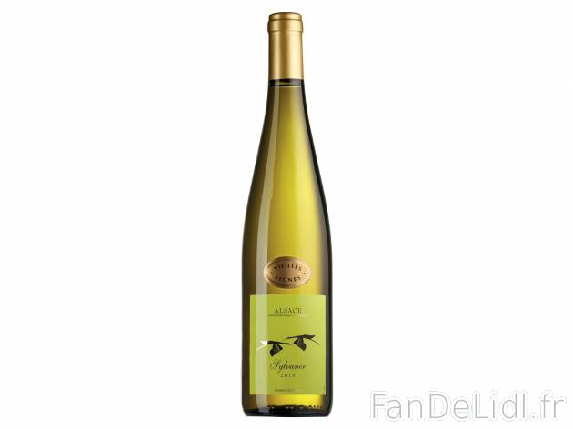 Sylvaner Vieilles Vignes 2015 AOC1 , prezzo 3.49 &#8364; 
- Temp&eacute;rature ...