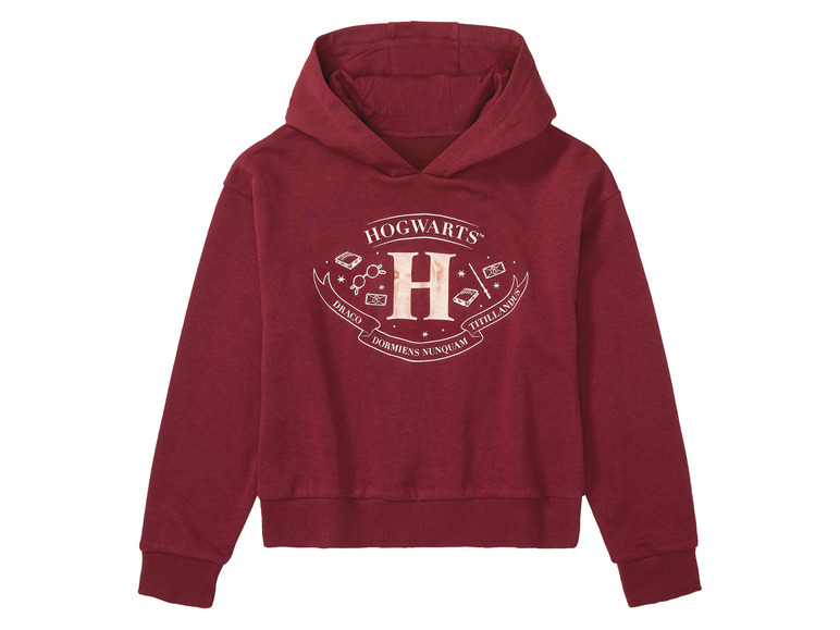 Sweat à capuche fille Harry Potter , prezzo 8.99 EUR