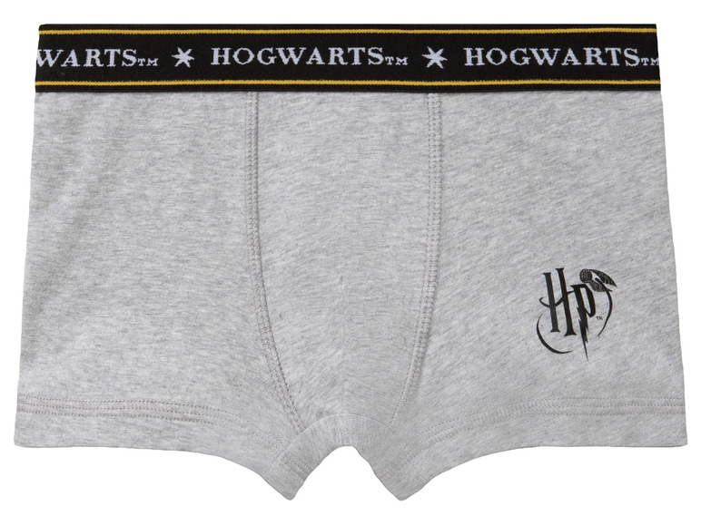 Lot de 2 boxers enfant Harry Potter , prezzo 5.99 EUR