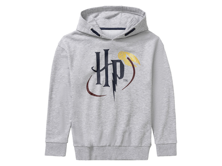 Sweat à capuche garçon Harry Potter , prezzo 8.99 EUR