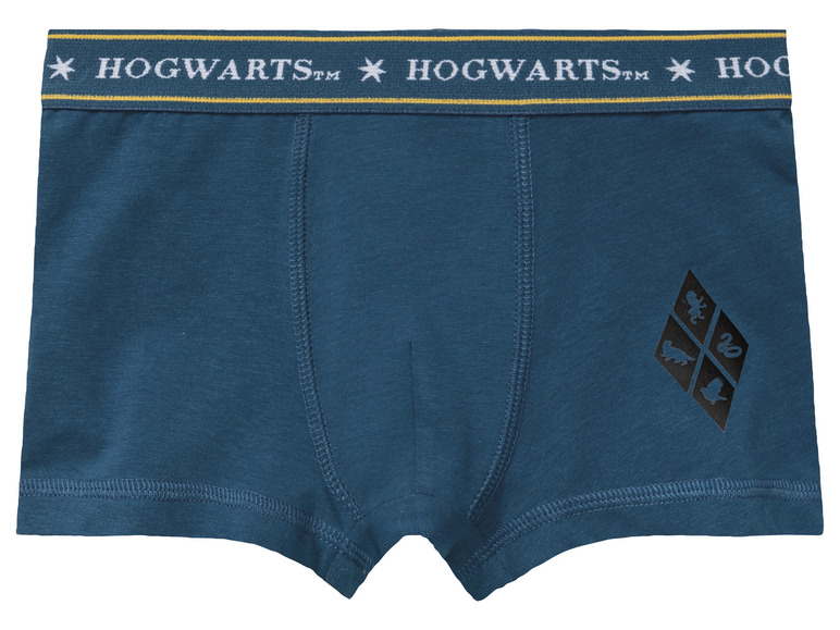 Lot de 2 boxers enfant Harry Potter , prezzo 5.99 EUR