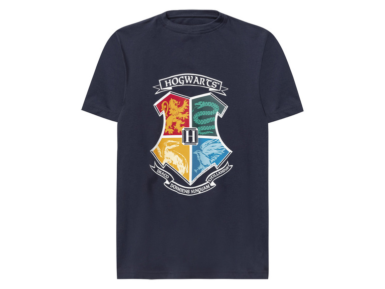 Lot de 2 t-shirts garçon Harry Potter , prezzo 5.99 EUR