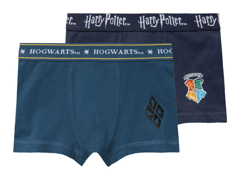 Lot de 2 boxers enfant Harry Potter , prezzo 5.99 EUR