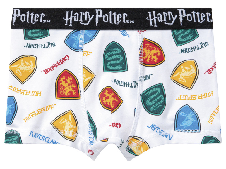 Lot de 2 boxers enfant Harry Potter , prezzo 5.99 EUR