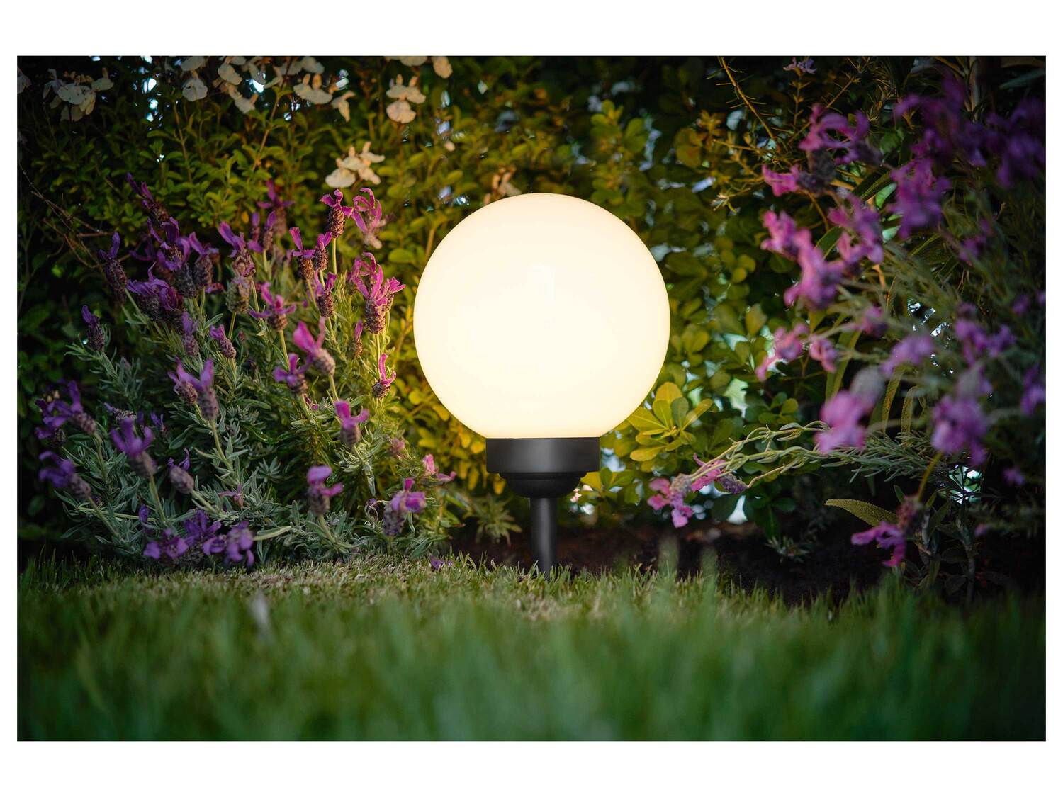 Lampe solaire à LED , le prix 8.99 &#8364; 
- &Oslash; env. 20 cm
- Changement ...